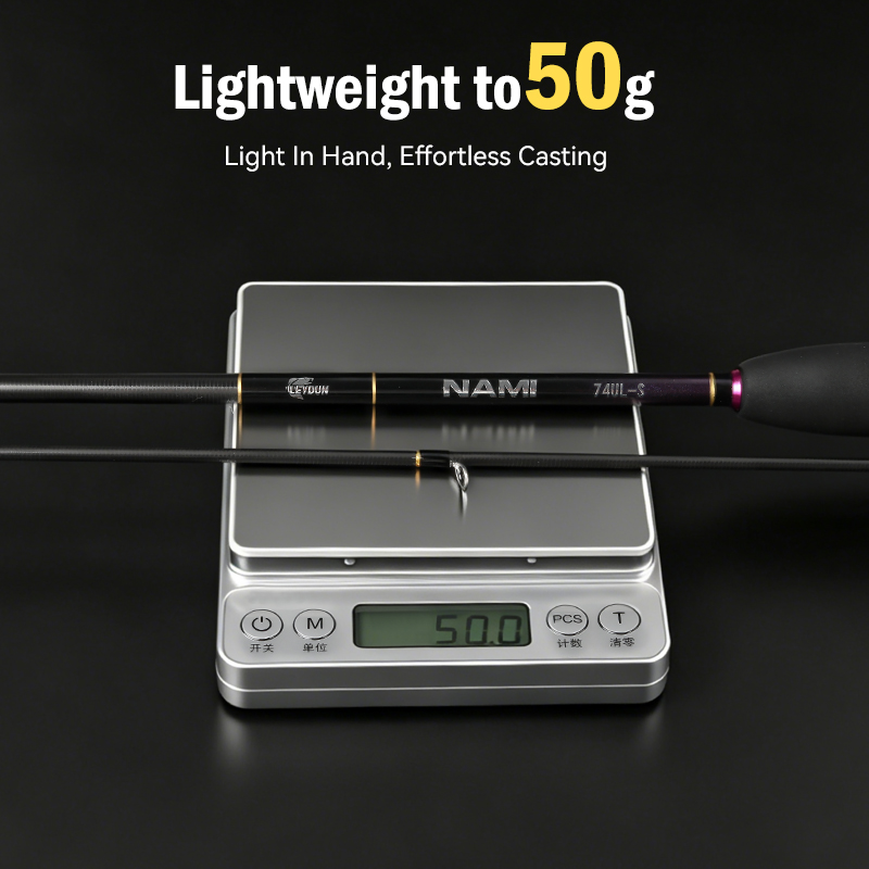 LEYDUN NAMI 超軽量アジングロックフィッシングロッ - Fishing Rod Guide Replacement のレビューと価格